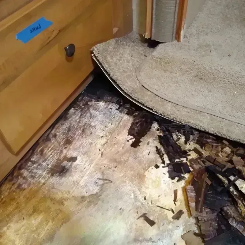 Wood Floor Water Damage in Lavallette, NJ